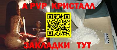 крисы Донской