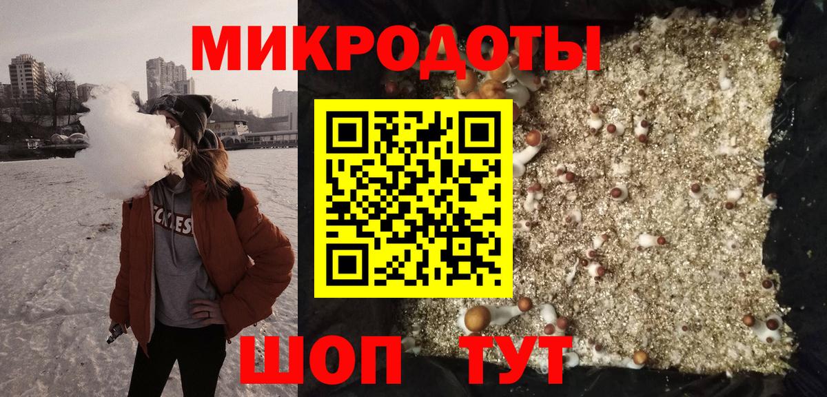 Псилоцибиновые грибы Psilocybe Мариинск