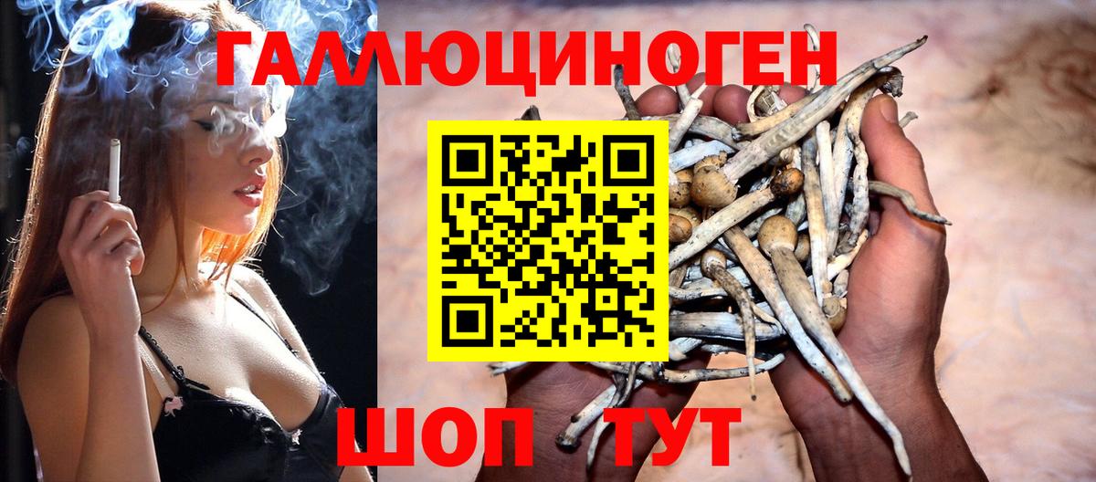 Мариинск  Галлюциногенные грибы мухоморы  Вход с VPN 